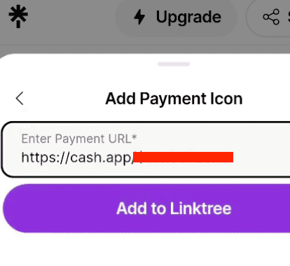 Enter your Cash App URL